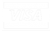 Visa Accepted for Payments
